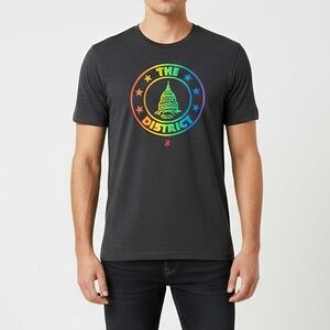 Bailiwick Pride "THE DISTRICT" Capitol Seal T-Shirt - Gray - Size Large - Unisex
